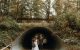 The Ultimate Guide to Planning an Elopement in Virginia: Tips and Seasonal Recommendations